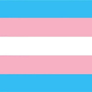 Teaching Transgender Voices